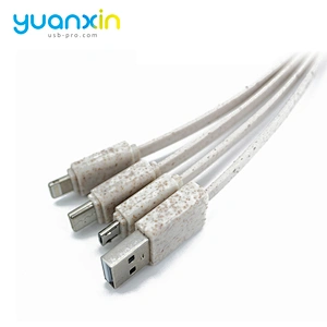 Eco keychain usb cable