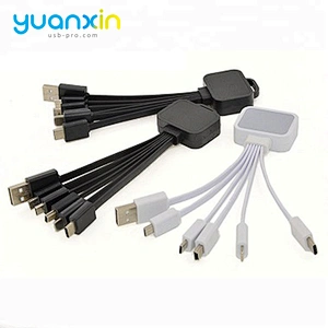 New Custom  4 in 1 Illume Charging Cable