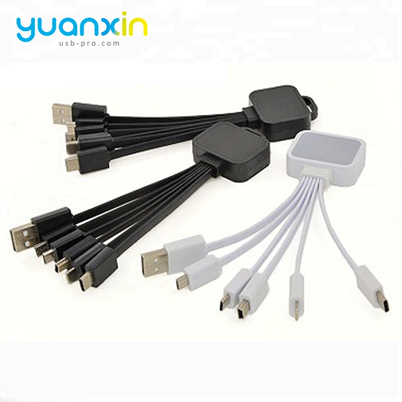 New Custom  4 in 1 Illume Charging Cable