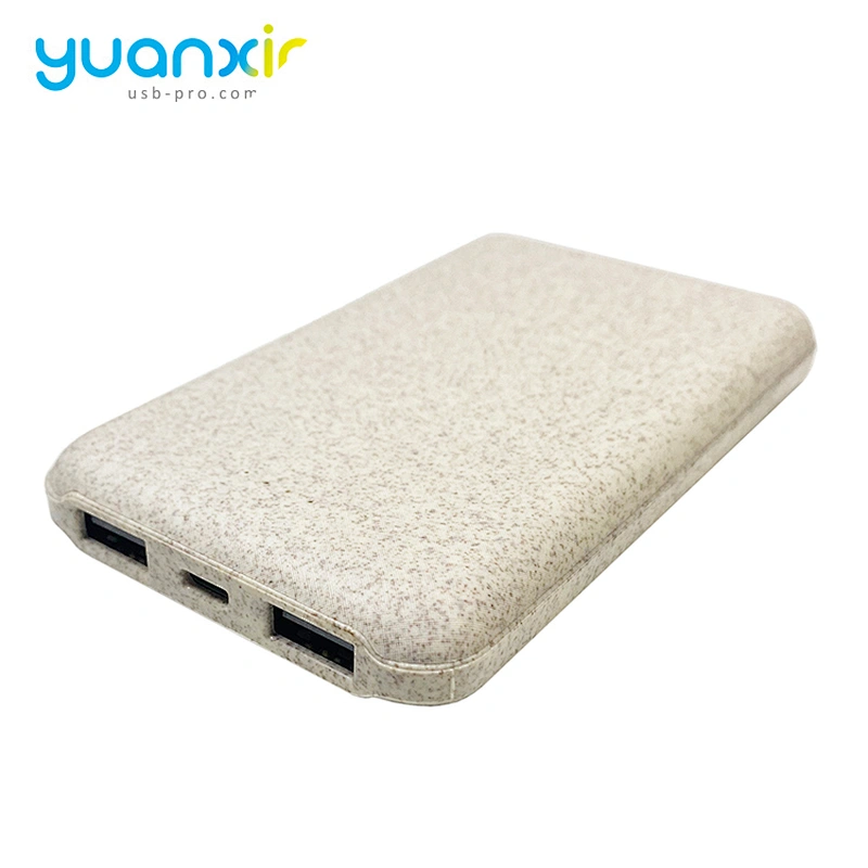 Stylish Mobile Power Bank
