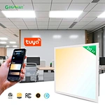 Tuya Intelligent Wireless CE Slim Commercial Waterproof Led Panel Light Manufacturer with Remote Control 5Color Tunable for Mall