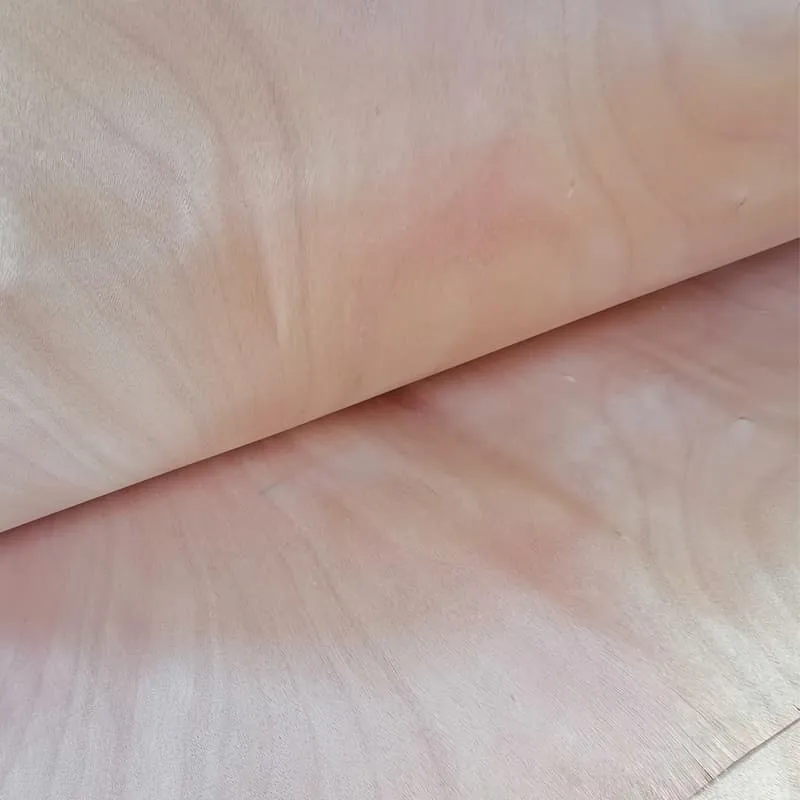 Linyi Okoume Veneer Factory