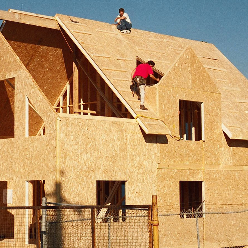 Leader Oriented Strand Board manufacturer