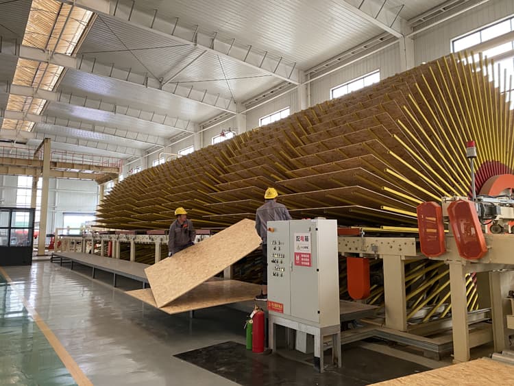radiata pine OSB Factory