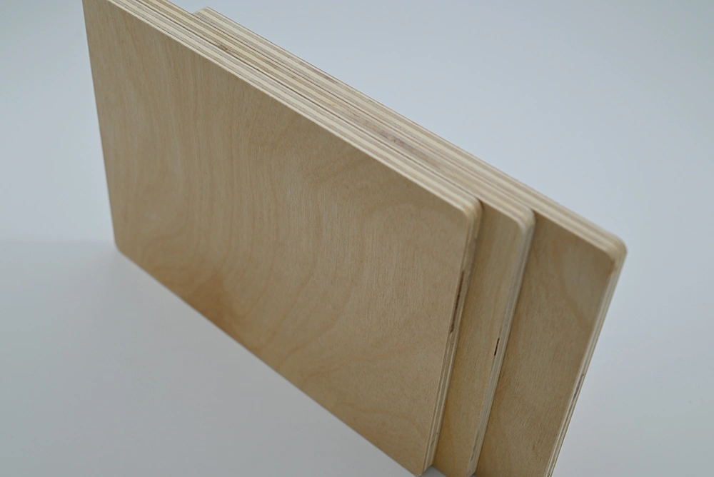 birch plywood