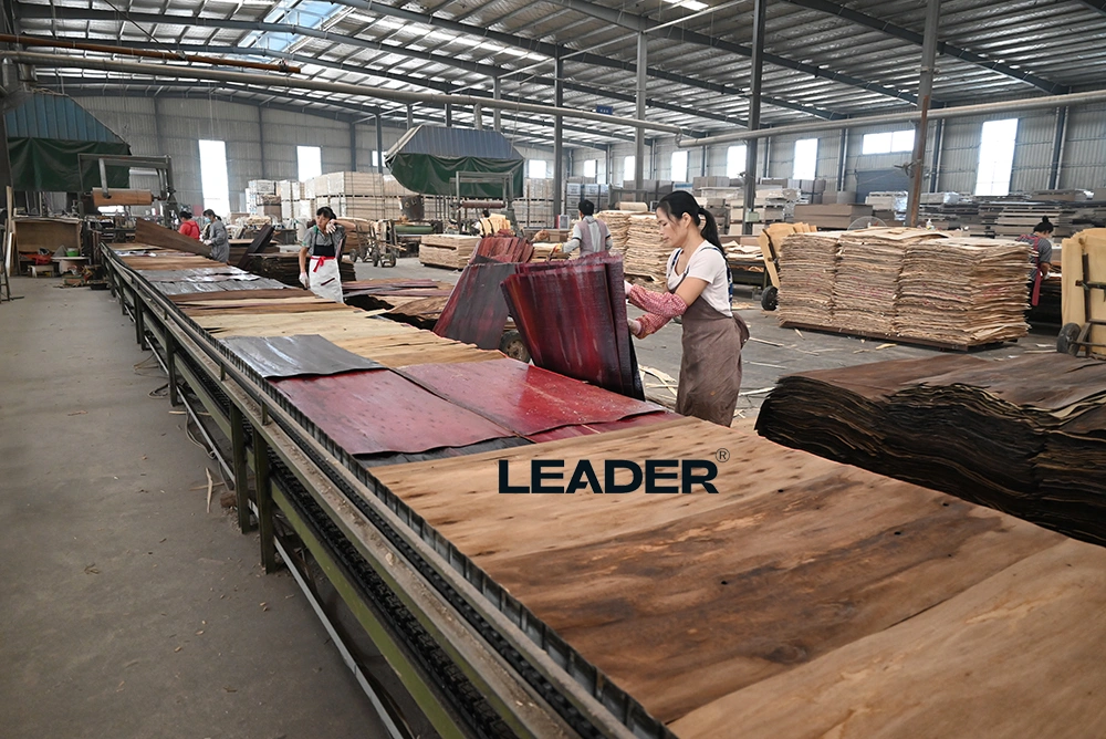 Flooring Structural Plywood H3.2 T/G factory