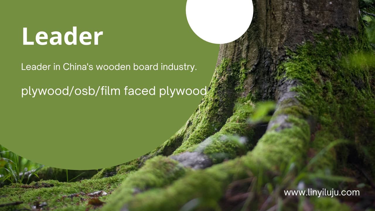 Red Cedar Plywood