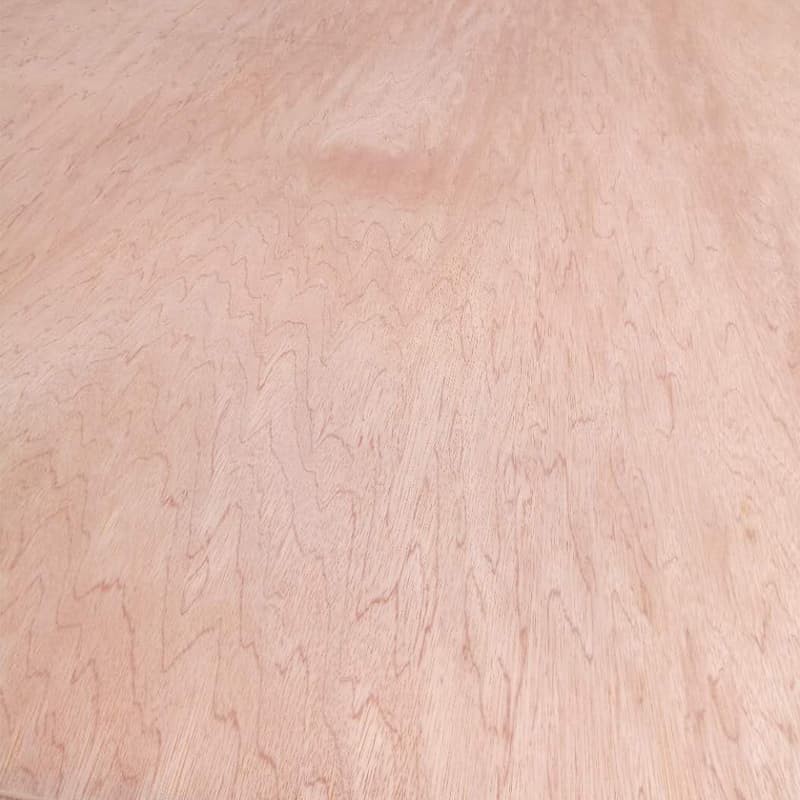 Bintangor Face Plywood
