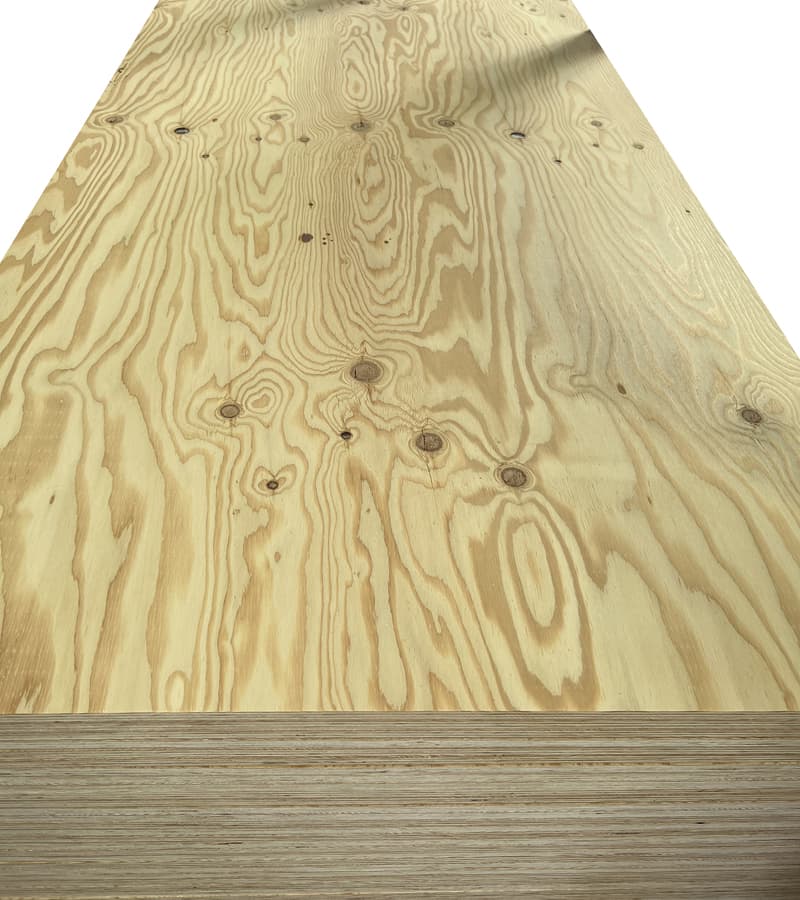 Plywood for Japan Market with JAS