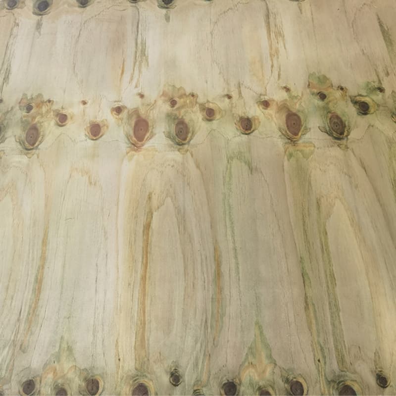 treated plywood