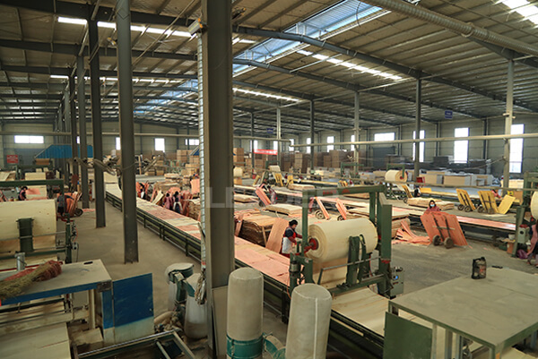F17 formply plywood workshop