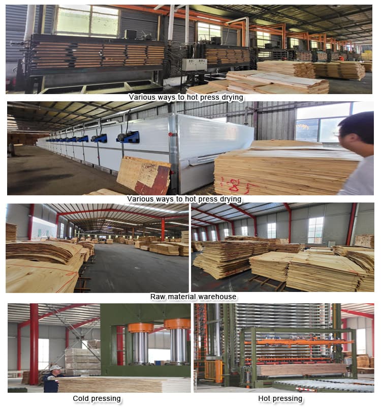 構造用合板製造工程