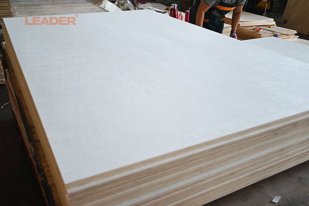 poplar plywood