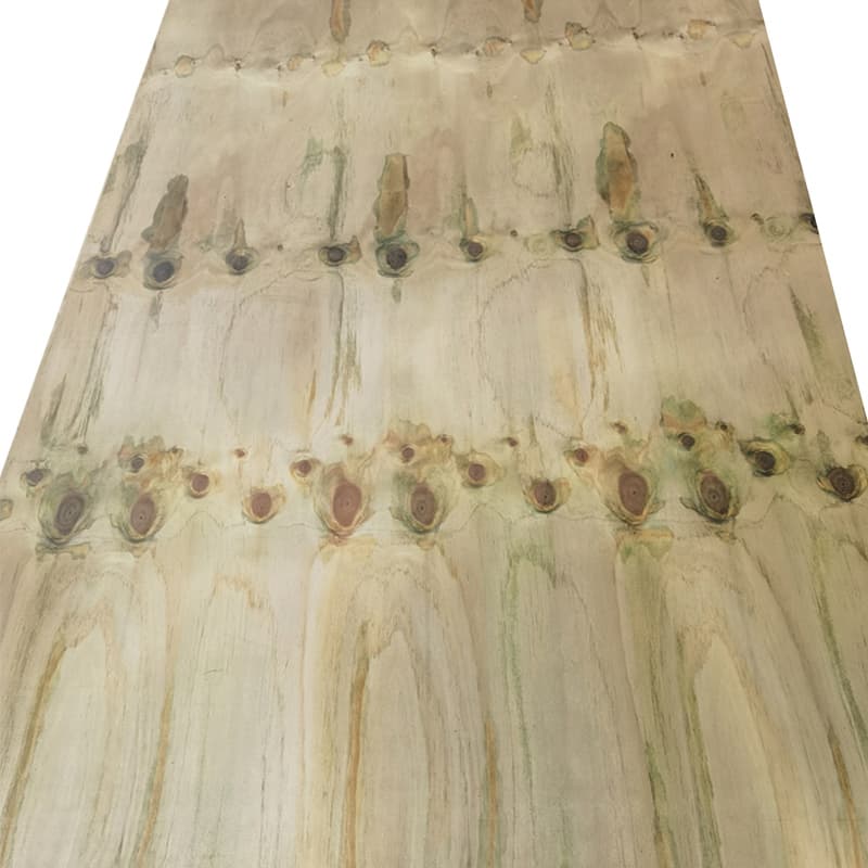 Leader Anti-corrosion plywood