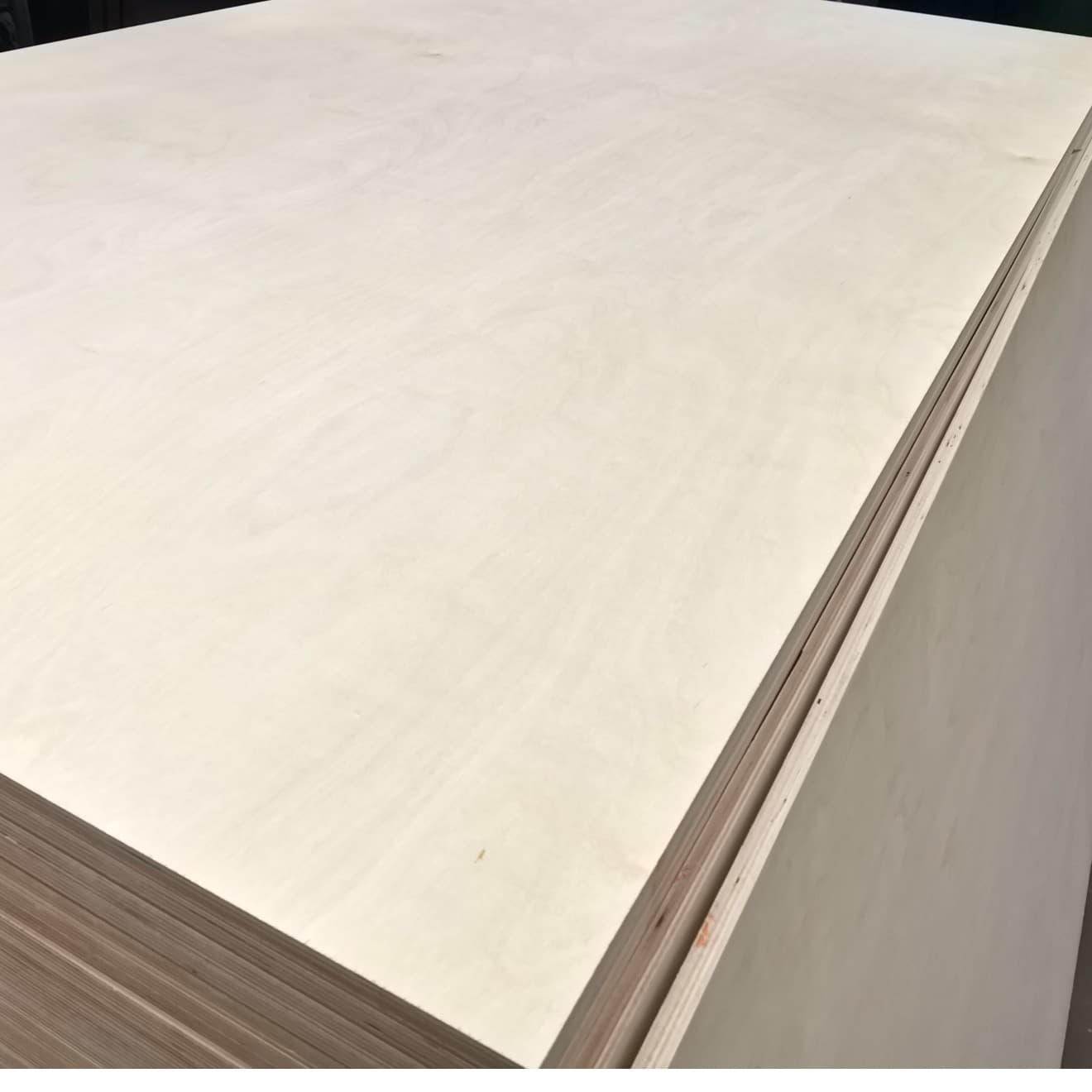 birch plywood