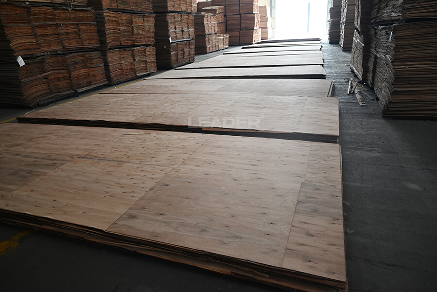 Leader big size shuttering plywood substrate
