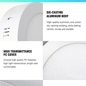 3w 6w 9w 12w 15w 18w 24w Mounted Indoor lamp Ceiling Home custom shape LED Surface round square panel light