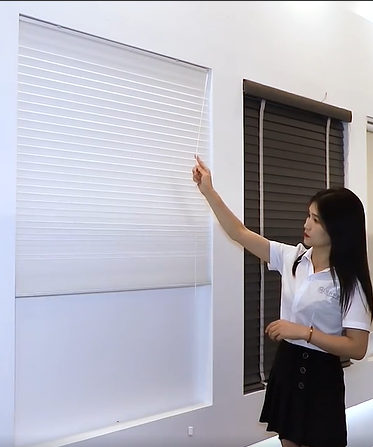 Pleated shade