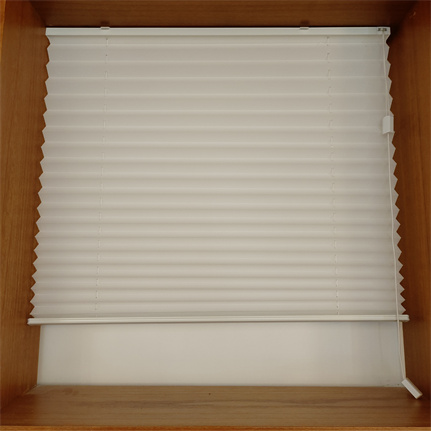 Pleated shade