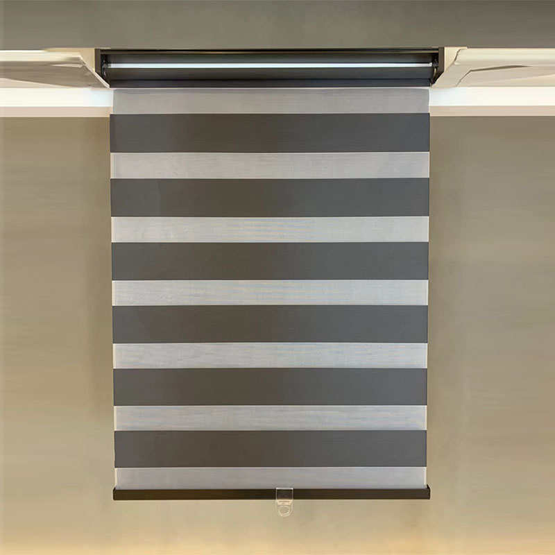 Roller Shade,Zebra shade