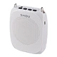 voice amplifier