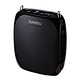 voice amplifier