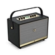 voice speaker amplifier