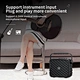 Classic Appearance Karaoke Speaker