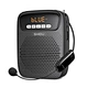 voice amplifier