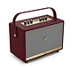 voice speaker amplifier