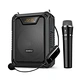 Dual Wireless Wireless Voice Amplifier