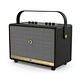 voice speaker amplifier