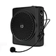 portable loudspeaker