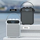 portable karaoke speaker