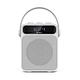 portable karaoke speaker