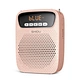 voice amplifier