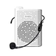 Personal Voice Sampler