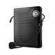 Portable Voice Amplifier
