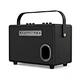 voice speaker amplifier
