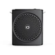 portable loudspeaker