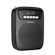 voice amplifier