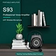 voice amplifier