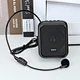 speaker amplifier
