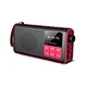 Screen Display Bluetooth Speaker