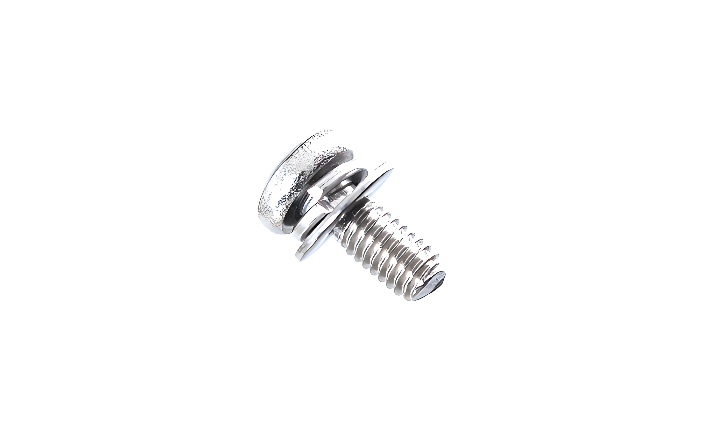 stainless steel screw