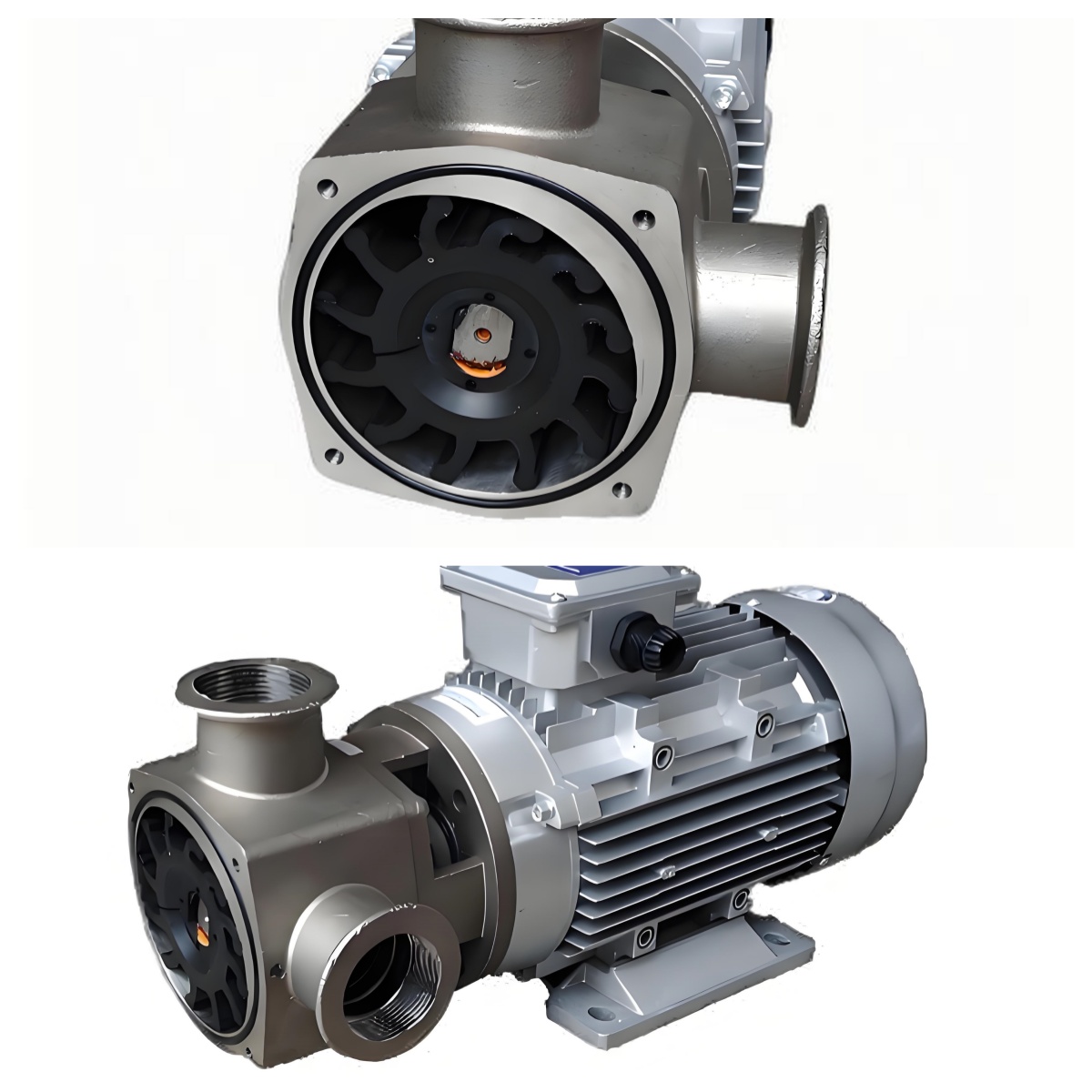 Marine pump flexible impeller