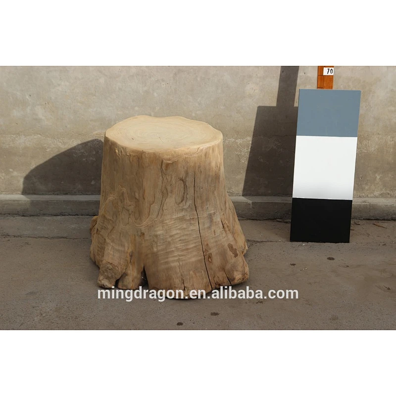 Vintage Cross-Sectioned Tree Trunk & Root Coffee Table