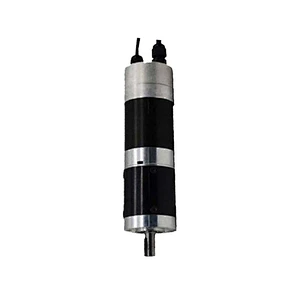 DC 24V 100RPM 100W Speed Gate Turnstiles Servo Motor