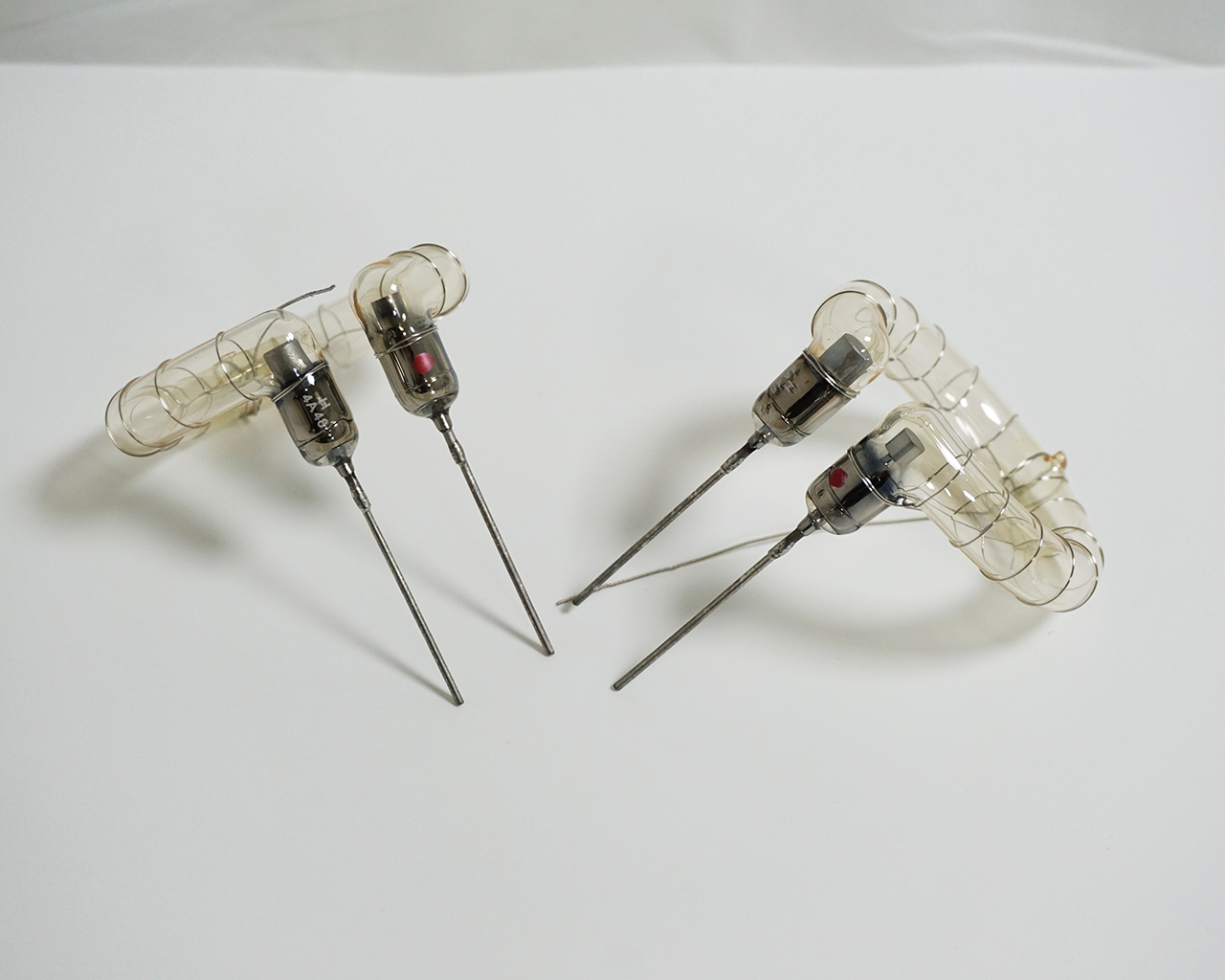 grow light bulbs