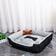 cute dog bed